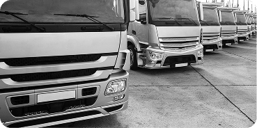 Fleet of commercial trucks lined up in a row